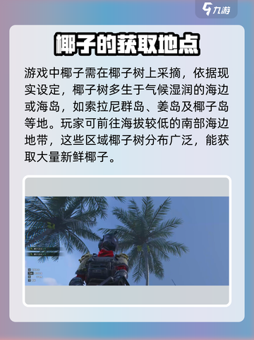 七日世界椰子在哪介绍截图2