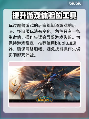 魔兽世界怀旧服卡顿？用这款加速器秒解决！🔥🎮截图2