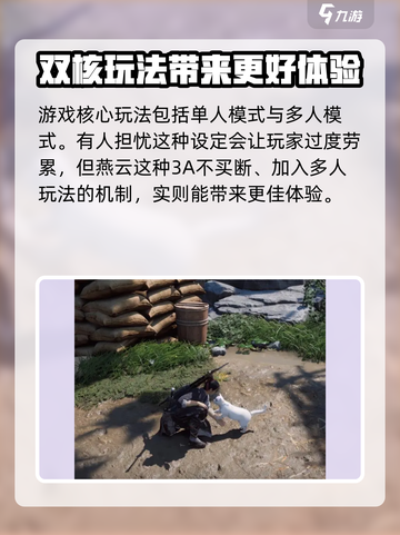 燕云十六声肝不肝介绍截图2