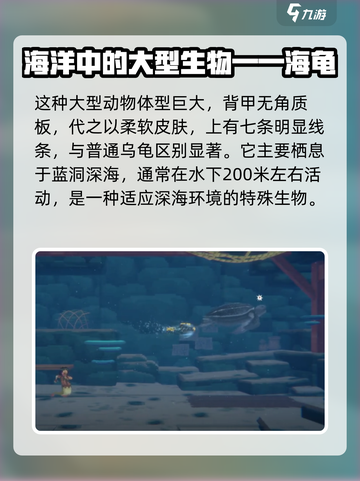 潜水员戴夫手游🔥揭秘棱皮龟真实名字✨截图3