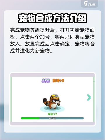 冒险岛联盟的意志宠物合成在哪介绍截图5