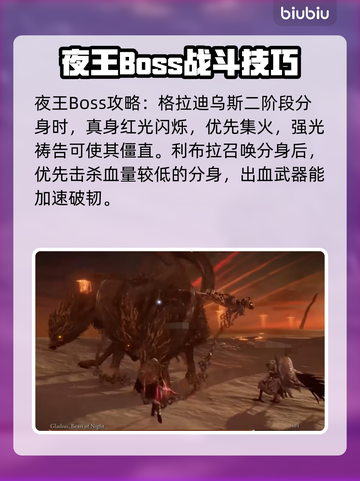 艾尔登法环黑夜君临🔥新手必看！快速上手攻略💡截图5