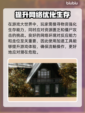 DayZ流畅玩🔥加速工具大揭秘🎮截图3