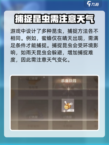 无限暖暖抓布布虫超全攻略💡游戏党必看！截图4