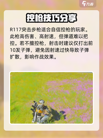 高能英雄🔥步枪选择全攻略，吃鸡必备！截图3