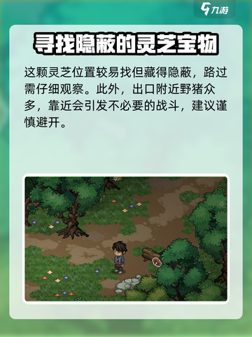 大侠立志传迷踪林灵芝在哪介绍截图5
