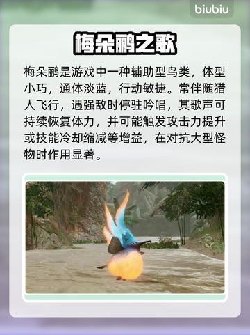 【怪物猎人】旅人鸟秘密曝光！🐣竟藏惊人生态㊙截图3