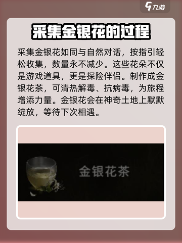 《七日世界》金银花位置大曝光！🔥速来打卡采集点截图3