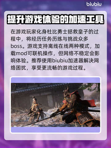 只狼闪退？加速器来救场！🎮🔥截图2