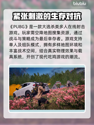 PUBG显存不足闪退？内存优化攻略来啦！💥🎮截图2