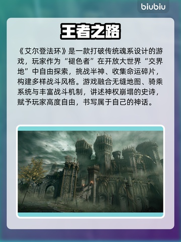 🔥艾尔登法环卡到爆？一招解决掉帧难题！🎮截图2