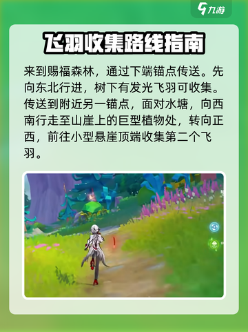原神🔥赐福森林欢声飞羽位置全解密！快速收集攻略截图2