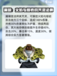 命运骑士团特级咒灵哪个好介绍截图2