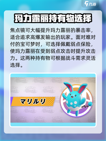 宝可梦大集结玛力露丽持有物是什么介绍截图3