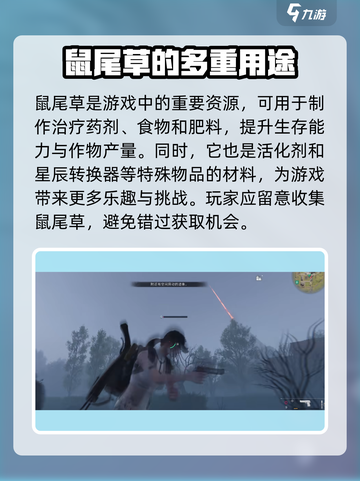 七日世界手游鼠尾草位置介绍介绍截图4