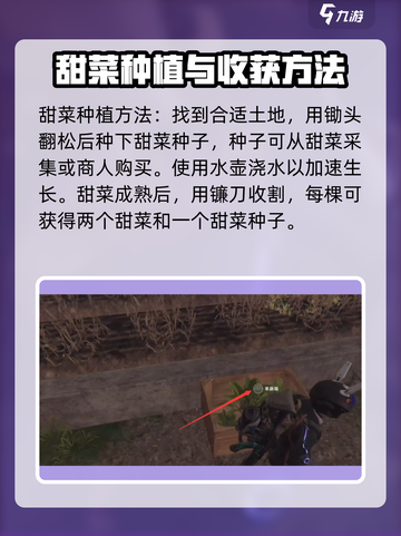 七日世界💥甜菜位置大曝光！快来拿走⚡截图3