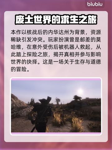 辐射新维加斯🔥闪退解决+加速器推荐🎉截图2