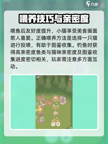 🎮猫咪和汤喂鱼秘籍！新手必看💥截图4
