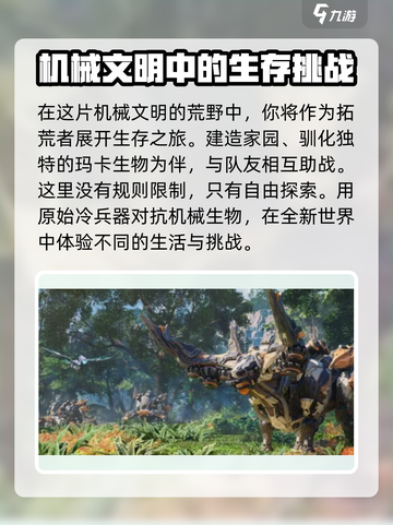 荒野起源是哪家公司的介绍截图4