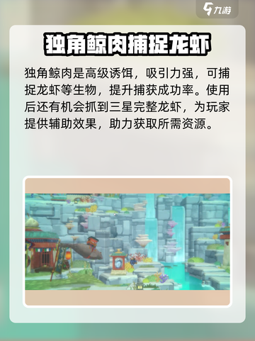 潜水员戴夫鱼笼诱饵🔥选择攻略来啦！截图2