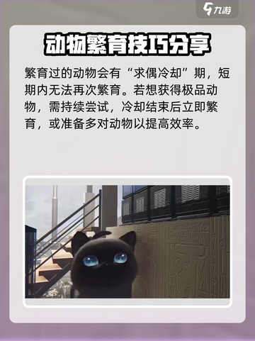 七日世界动物养殖攻略介绍截图5