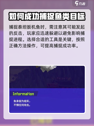 潜水员戴夫泰坦扳机鱼怎么抓介绍截图4
