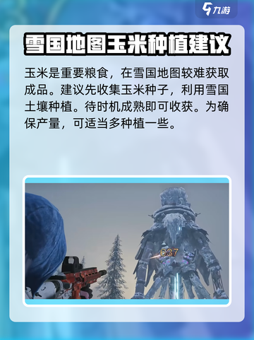 七日世界🔥雪国人生玉米获取攻略🎉截图2