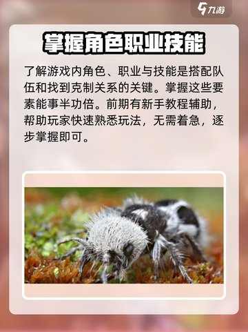 小小蚁国国内什么时候上线介绍截图4