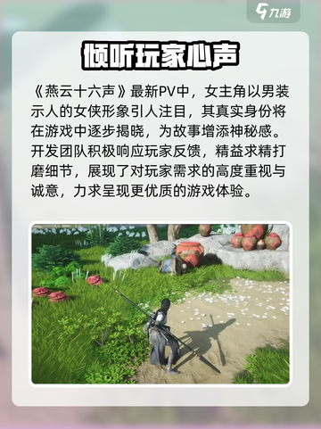 燕云十六声主角会有女角色吗介绍截图3