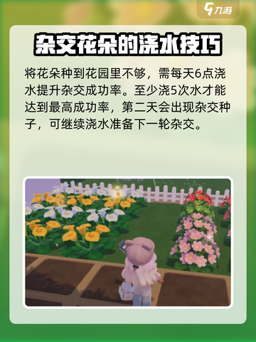 心动小镇🔥粉色雏菊培育秘籍🌷新手必看！截图3
