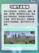 失控进化猎弓怎么样介绍截图3