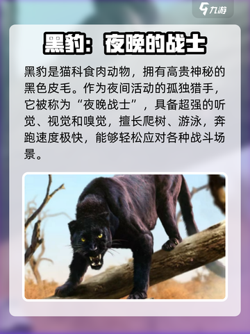 野兽领主新世界🔥黑豹强度解析来了！🚀截图3
