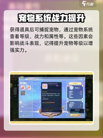 巴风特之怒🔥手游宠物超全攻略来了！💡截图3