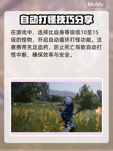 王权与自由🔥自动打怪操作攻略来啦！截图3