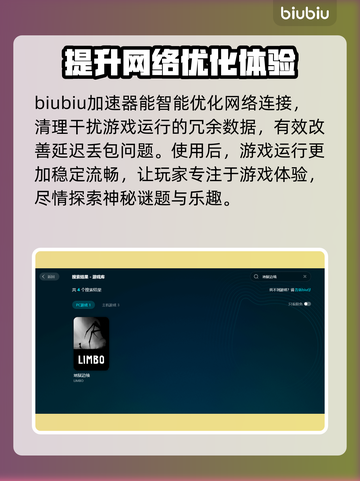 地狱边境延迟丢包？❌解决方案来了！🔥截图2
