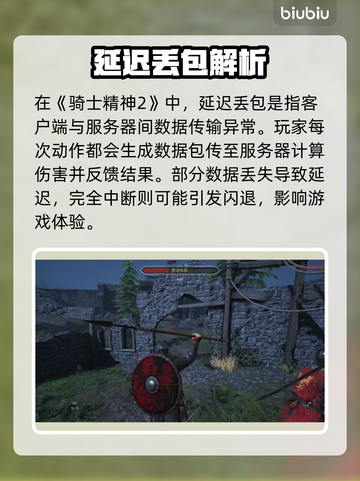 🎮《骑士精神2》延迟丢包？速看解决妙招！截图2