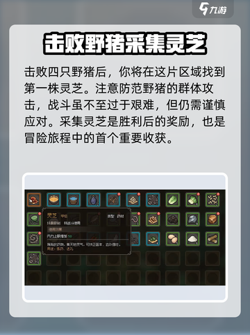 大侠立志传灵芝在哪介绍截图4