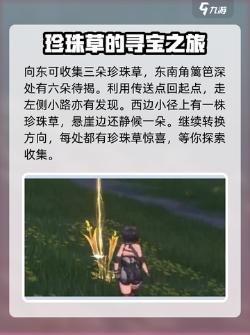 鸣潮珍珠草位置在哪里介绍截图3