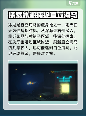 潜水员戴夫直立海马在哪介绍截图4
