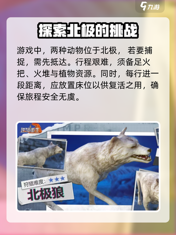 逆境重生北极狼怎么打介绍截图2
