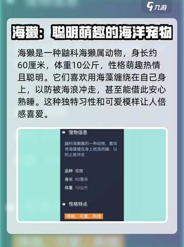 黎明之海🔥海獭宠物获取攻略来啦！萌宠伴你冒险 Voyage截图3
