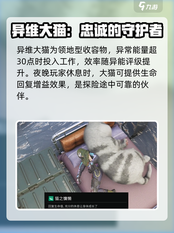 七日世界💡异维大猫收容攻略-cat必看！截图2