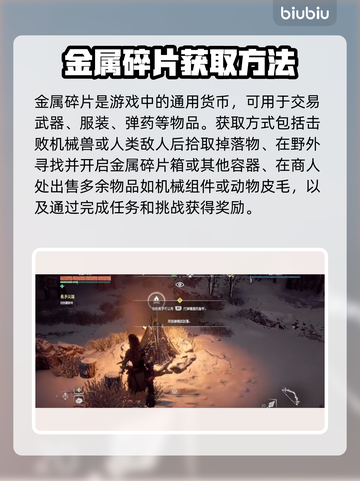 地平线零之曙光😎背包满了资源取舍攻略⚡截图2