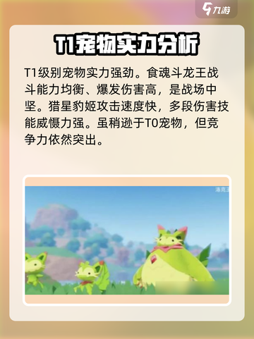 洛克王国🔥宠物排行榜！最强宠物推荐🎉截图4