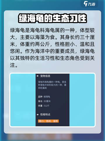 黎明之海🔥绿海龟宠物获取方式大揭秘！快来看✔截图2