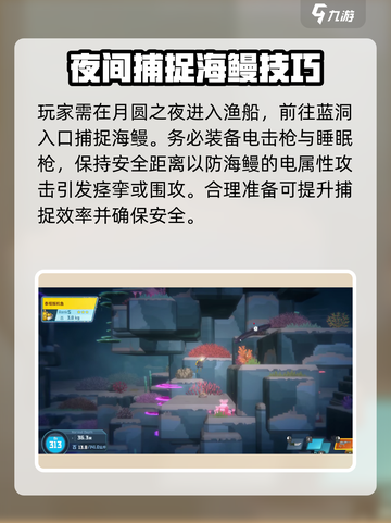 潜水员戴夫🔥海鳗抓捕攻略来啦！🎉截图3