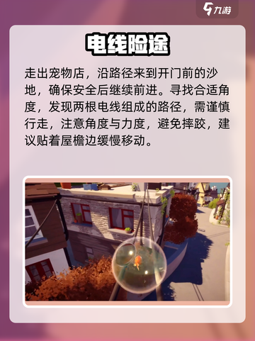 《我是小鱼儿金鱼》🔥超难关卡通关秘籍大公开！🎮✨截图5