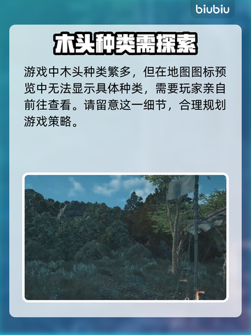 碧海黑帆🔥砍树操作大揭秘.Tree截图3
