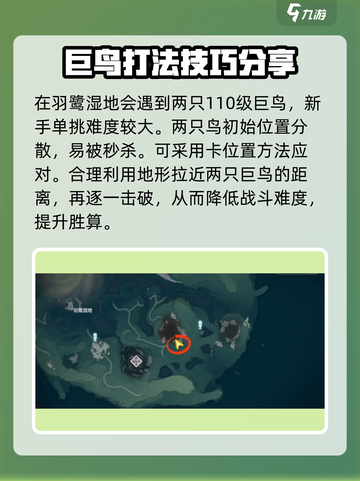 鸣潮⚡双生翎鹭打法分享，轻松通关秘籍！🔥截图2