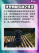 方舟终极移动版大虾米模组介绍截图4
